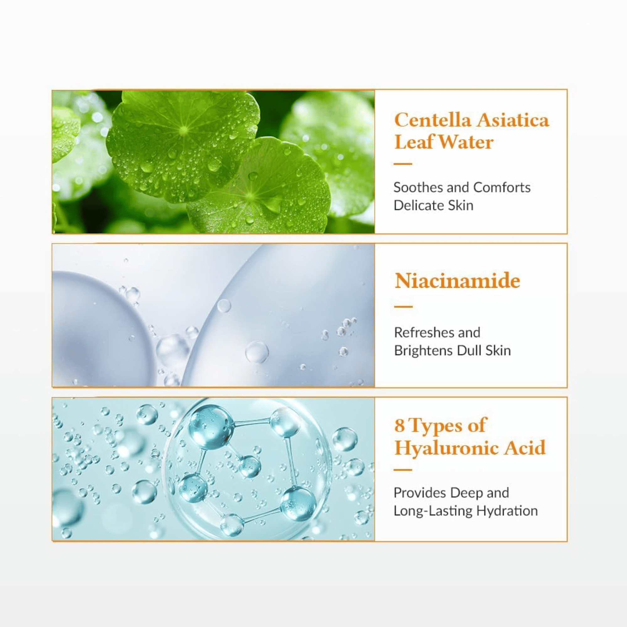 Drei Produktpanels präsentieren Asiatica, Niacinamid und Hyaluronsäure inklusive zugehöriger Bilder und Vorteile.