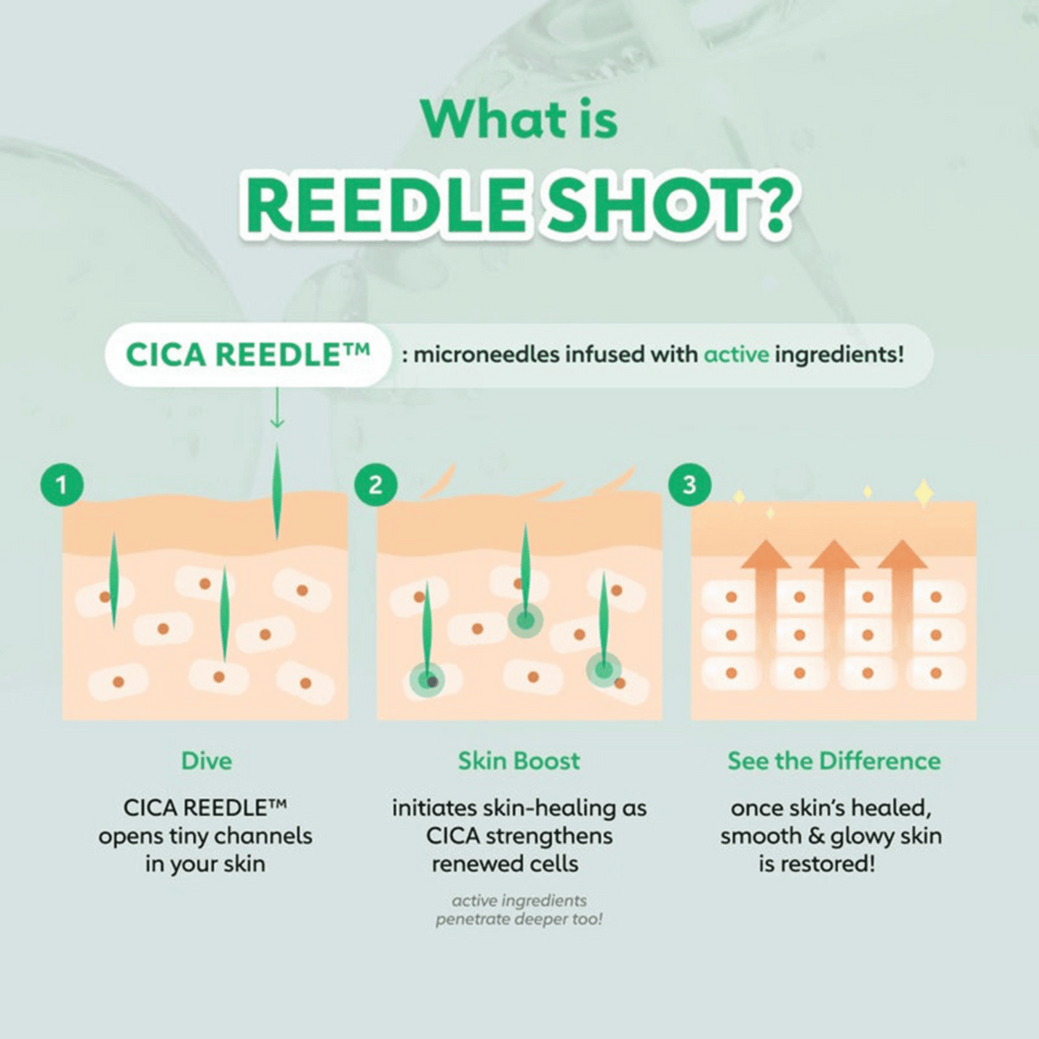 Infografik erklärt die Wirkung von Cica Reedle Microneedles im VT Reedle Shot 700 Serum – Hautregeneration