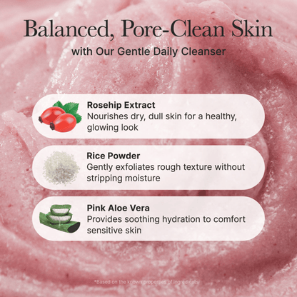 Arencia Fresh Rosehip Rice Mochi Cleanser - cosmadic
