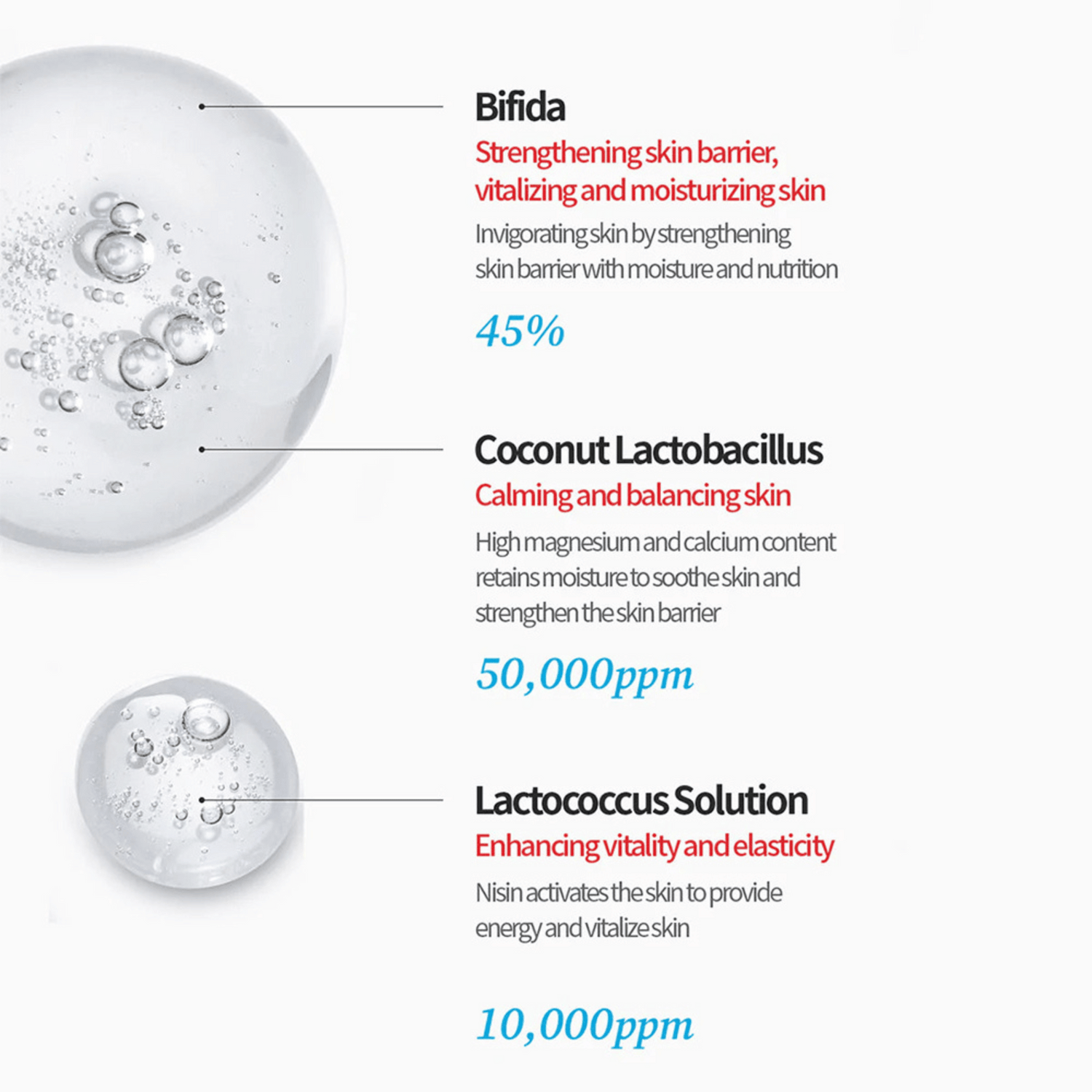 Wirkstoffe der Tocobo Essence: Bifida, Lactobacillus und Lactococcus für eine gesunde Hautbalance