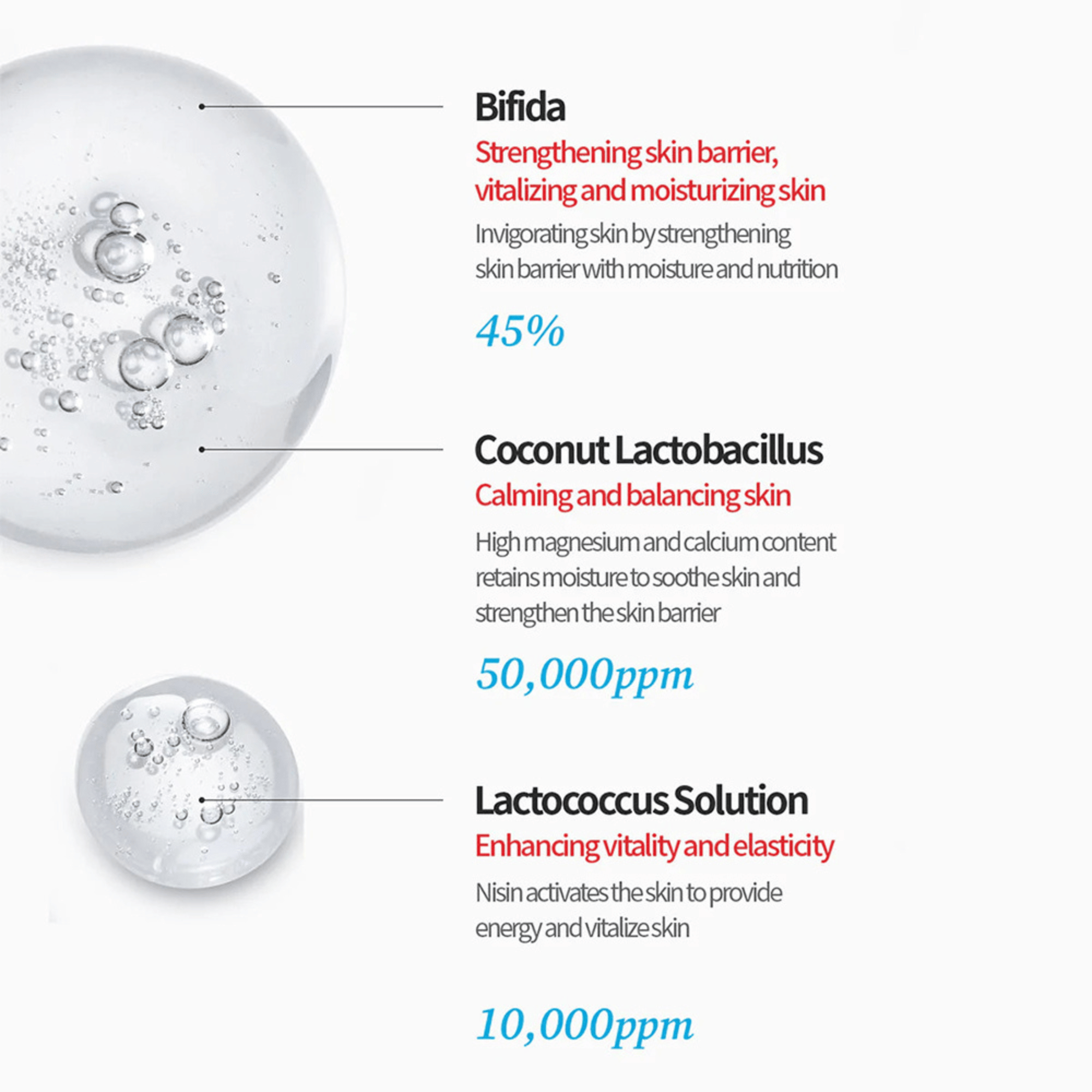 Wirkstoffe der Tocobo Essence: Bifida, Lactobacillus und Lactococcus für eine gesunde Hautbalance