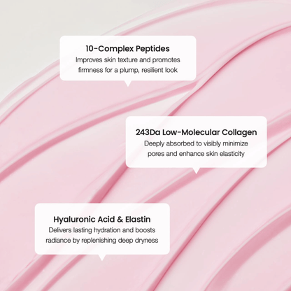 Biodance Pore Perfecting Collagen Peptide Cream 50ml - cosmadic